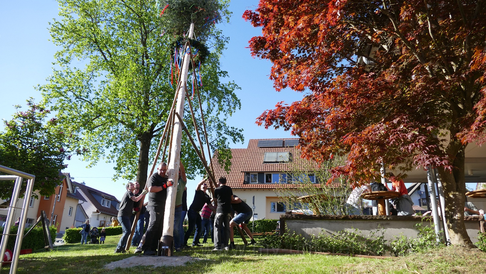 2026-04 Maibaum stellen Unterentersbach (9).JPG
